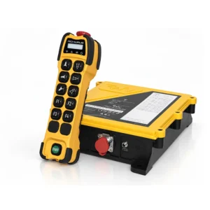 ریموت کنترل جرثقیل سقفی ریچ ویو مدل TE-RX/S1002A ده کلیده - دو سرعته - رله مستقل ( ست کامل )